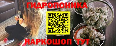 apvp Пушкино