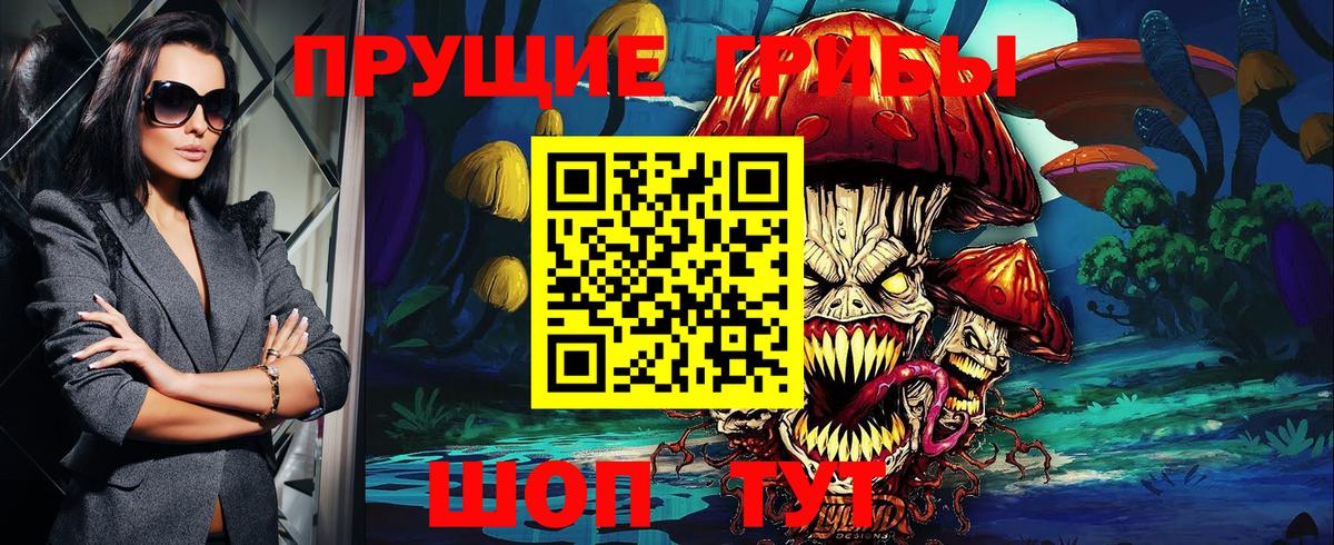 Псилоцибиновые грибы Psilocybine cubensis Тосно